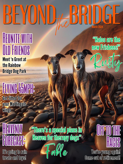 Personalized Beyond the Bridge Magazine Cover Poster