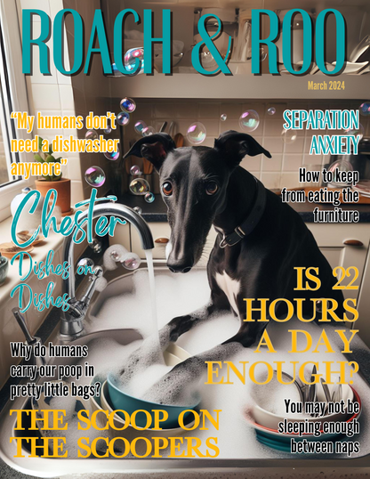 Roach & Roo Magazine featuring Chester