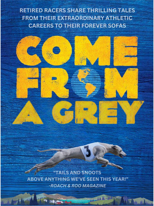 Come From A Grey Greyhound Poster