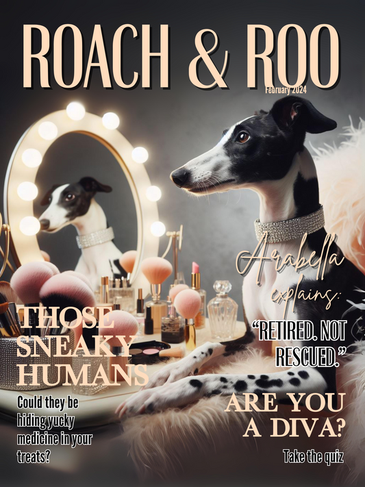 Roach & Roo Magazine featuring Arabella