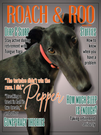 Customize Your Top Dog's Roach & Roo Cover Here (framed)