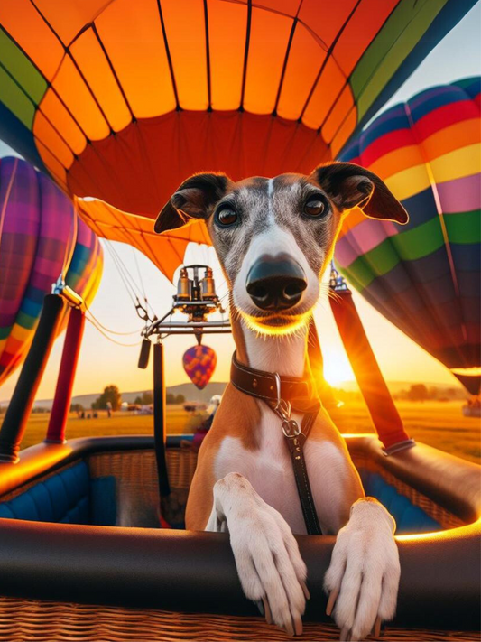 Balloon Hitchhiker