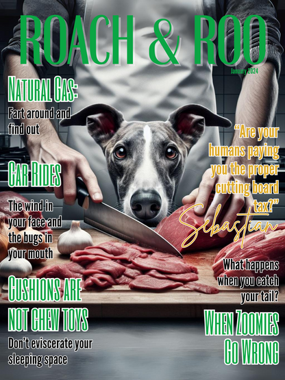 Roach & Roo Magazine featuring Sebastian